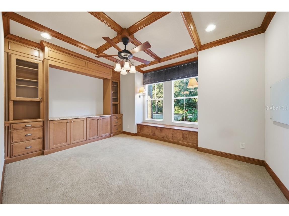 19238 Climbing Aster Drive Tampa FL 33647 TB8444933 image8