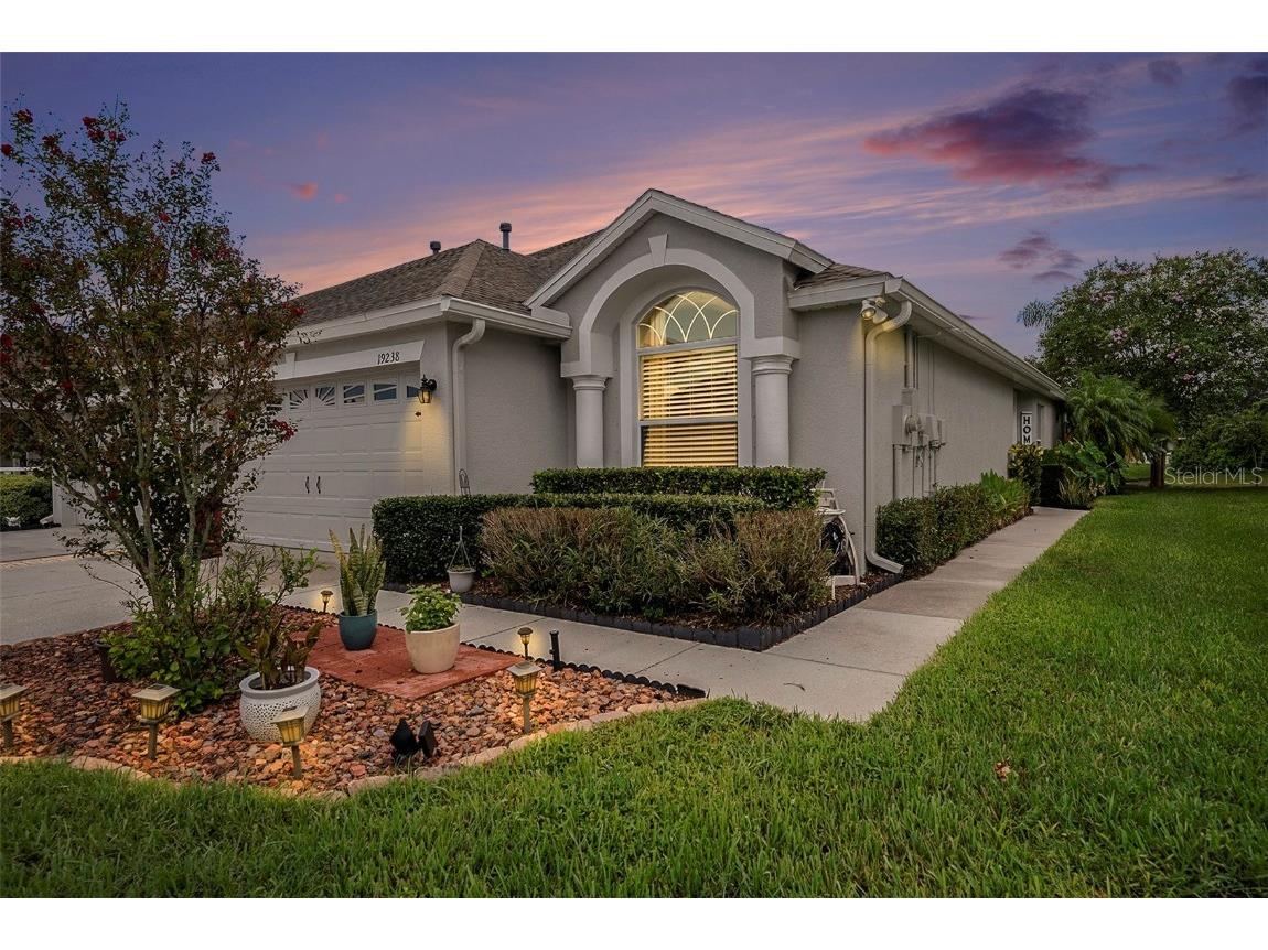 19238 Gophertrail Place Land O Lakes FL 34638 T3552942 image1
