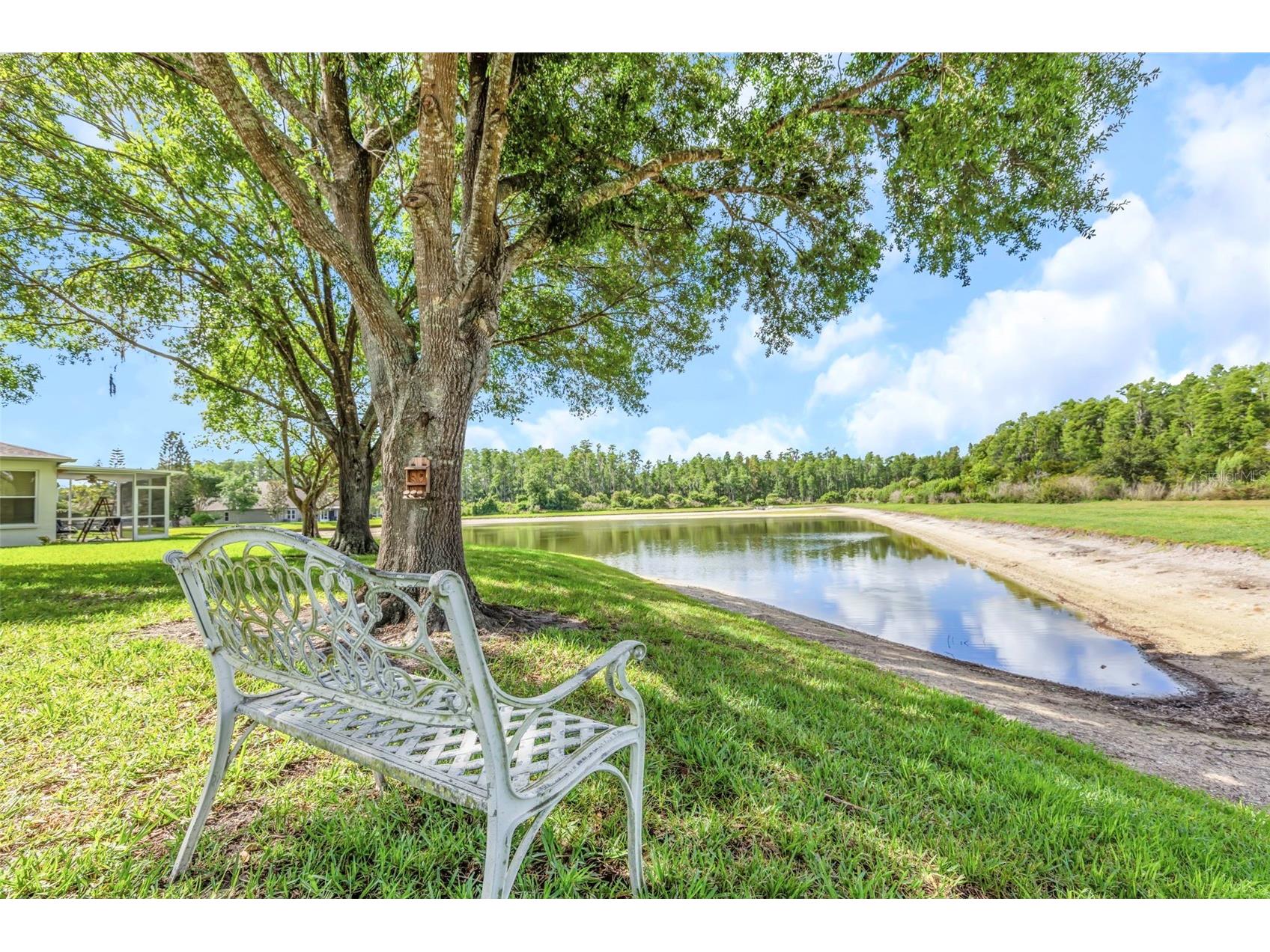 19238 Weymouth Drive #1 Land O Lakes FL 34638 TB8511301 image25