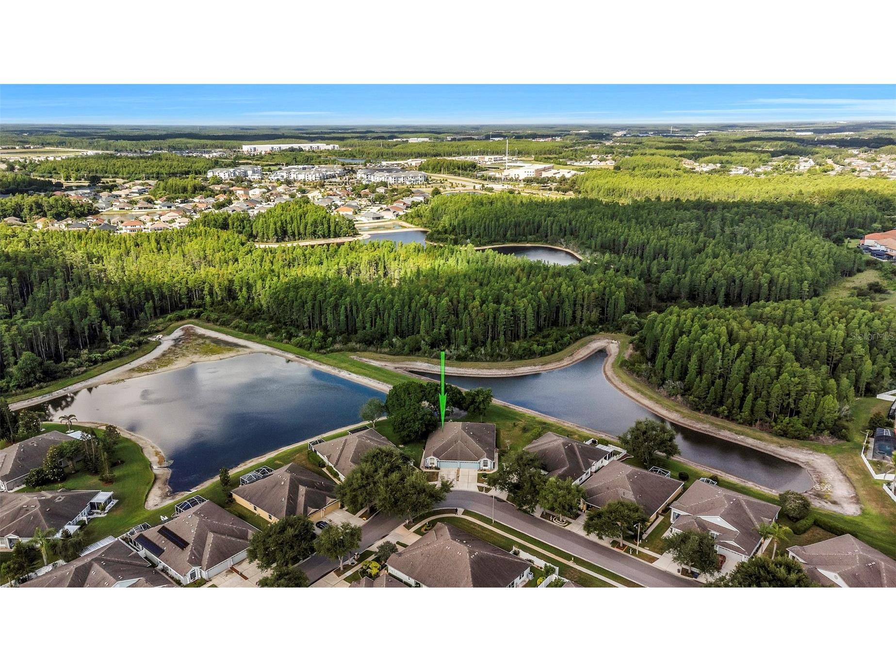 19238 Weymouth Drive #1 Land O Lakes FL 34638 TB8511301 image27