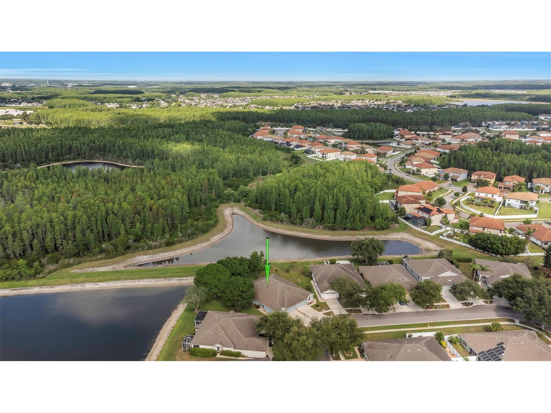 19238 Weymouth Drive #1 Land O Lakes FL 34638 TB8511301 image28