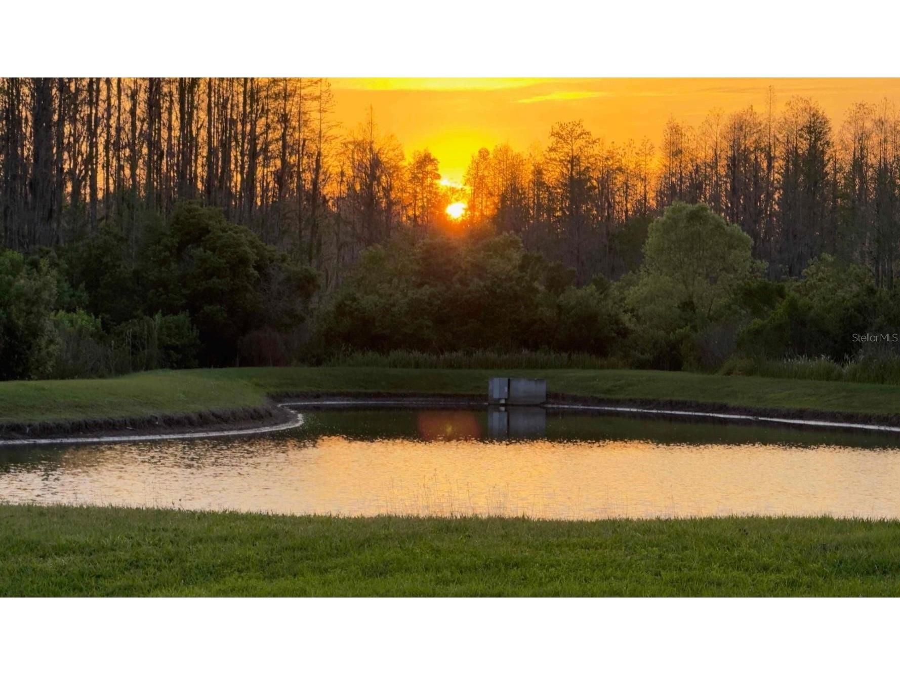 19238 Weymouth Drive #1 Land O Lakes FL 34638 TB8511301 image3
