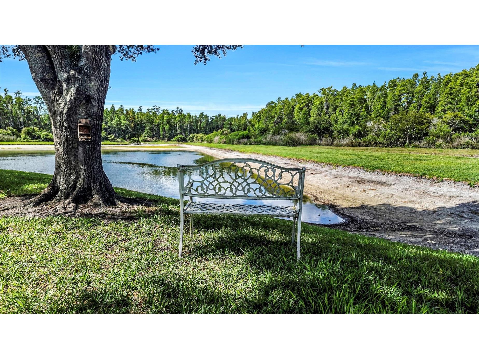 19238 Weymouth Drive #1 Land O Lakes FL 34638 TB8511301 image31