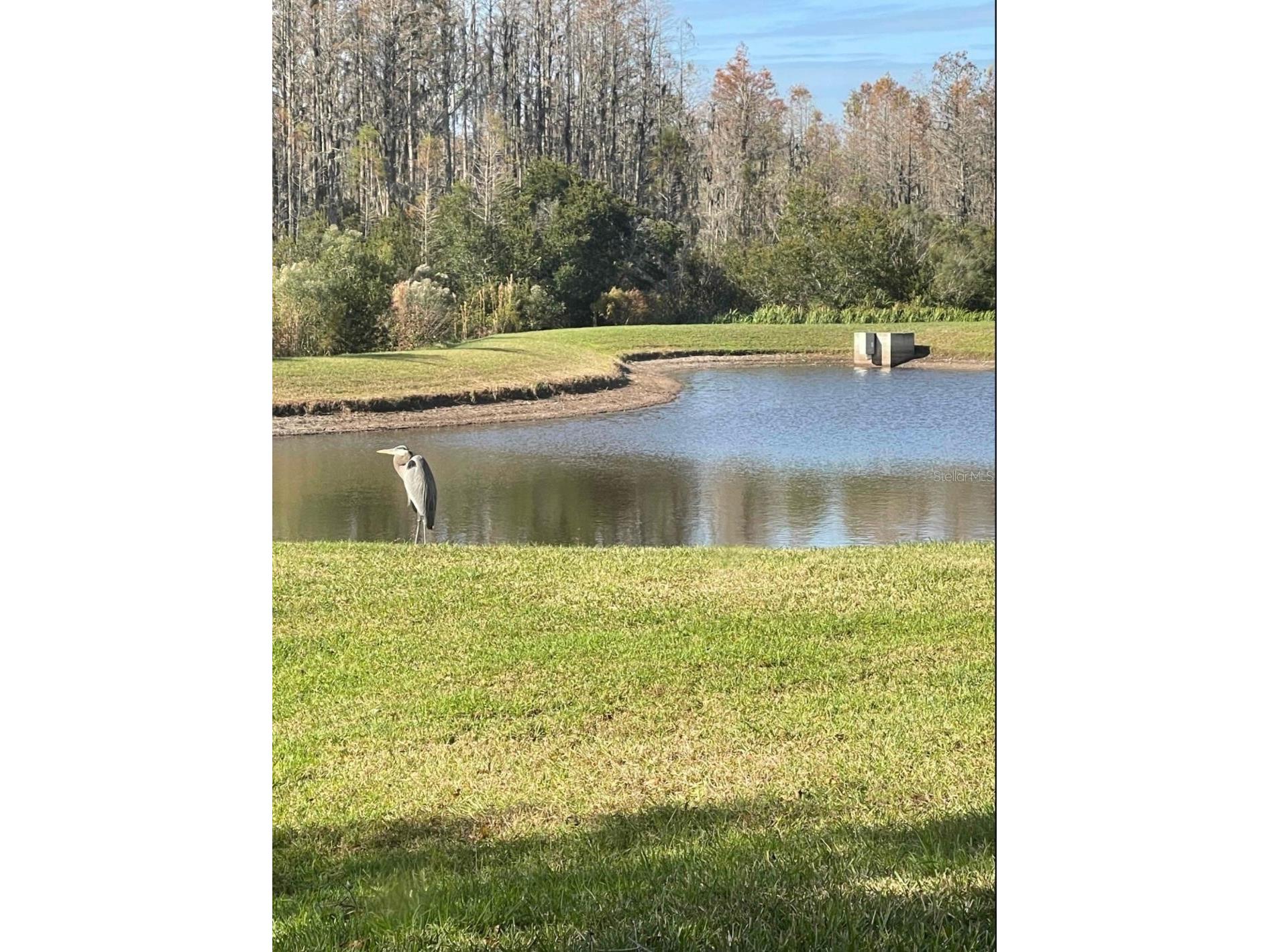 19238 Weymouth Drive #1 Land O Lakes FL 34638 TB8511301 image32