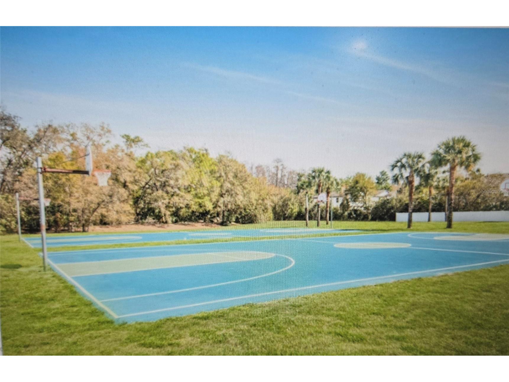 19238 Weymouth Drive #1 Land O Lakes FL 34638 TB8511301 image33
