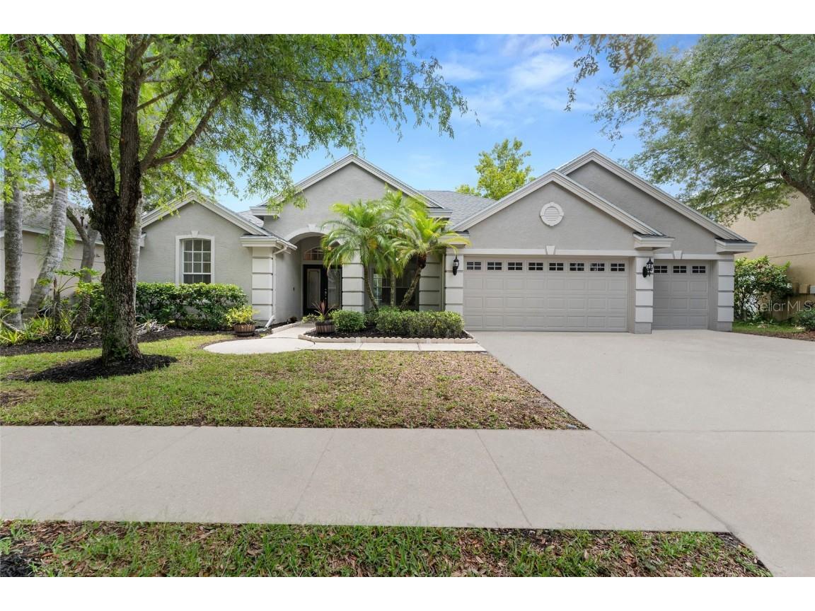 19239 Autumn Woods Avenue Tampa FL 33647 T3533784 image1