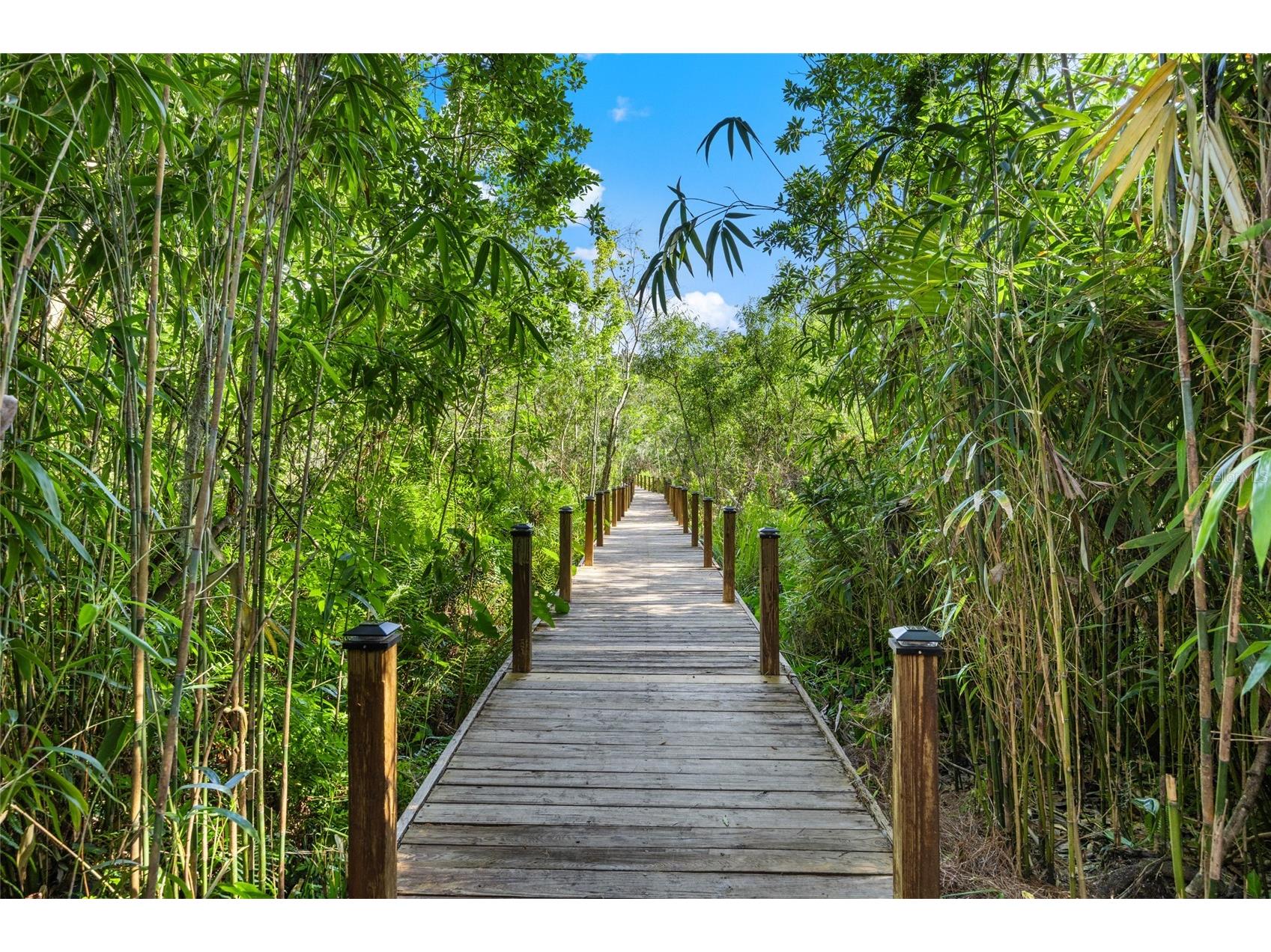 1924 Down Hollow Lane Windermere FL 34786 - LAKE DOWN O6398100 image22
