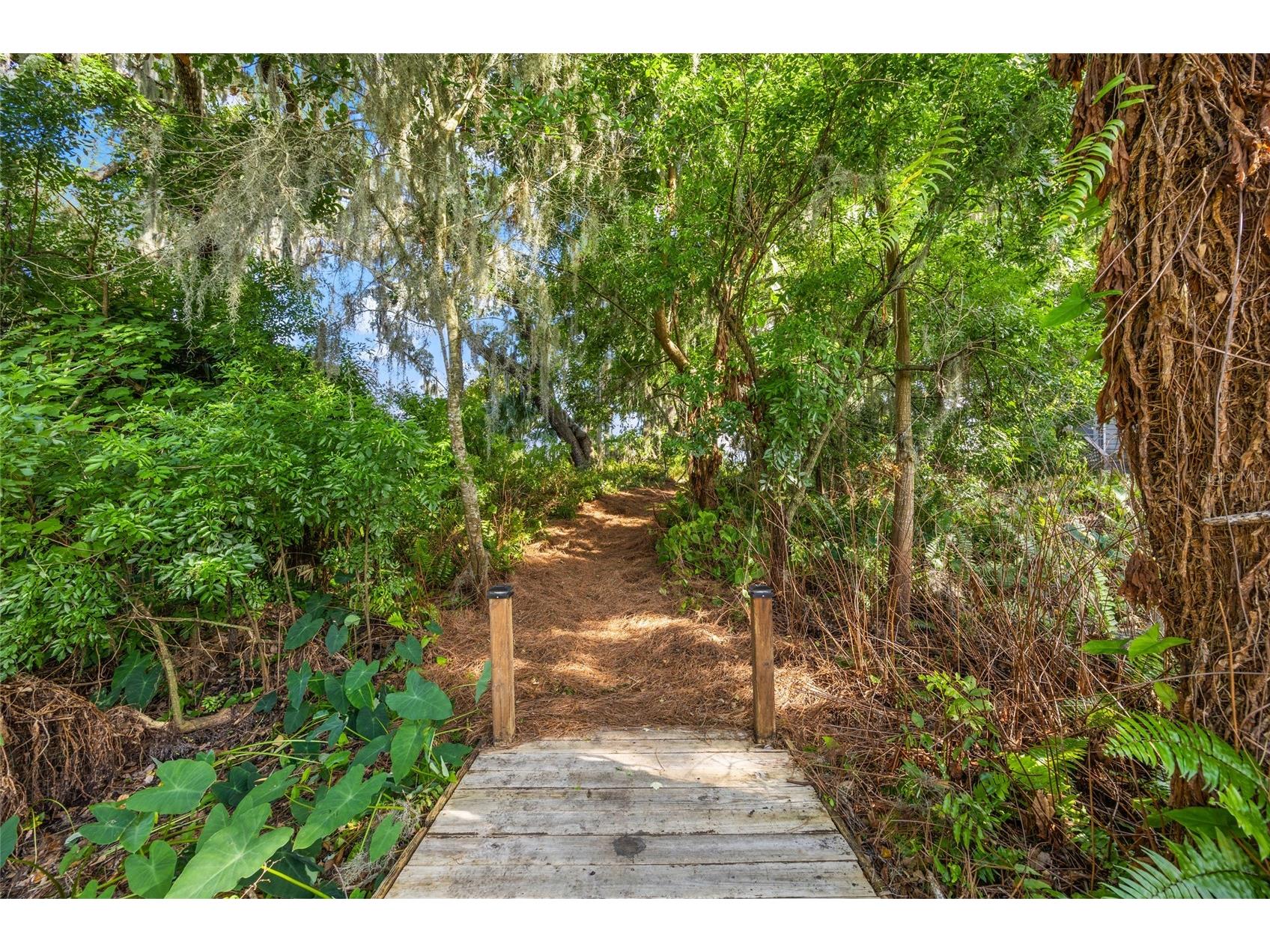 1924 Down Hollow Lane Windermere FL 34786 - LAKE DOWN O6398100 image23