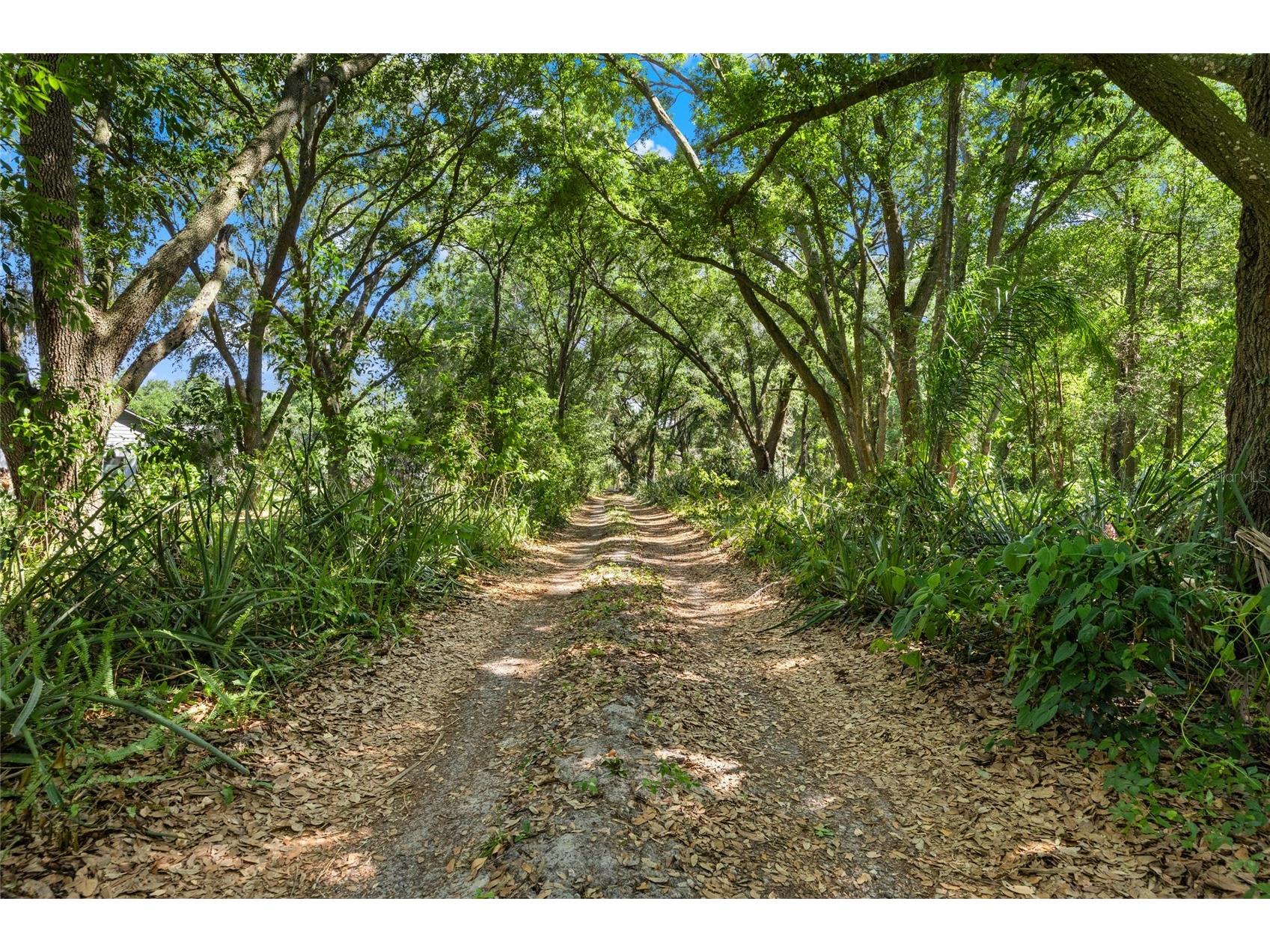 1924 Down Hollow Lane Windermere FL 34786 - LAKE DOWN O6398100 image6