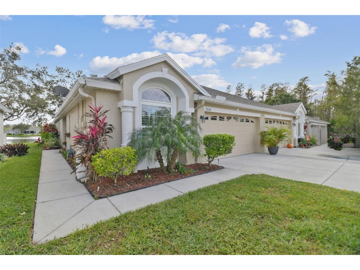 19240 Barred Owl Court Land O Lakes FL 34638 TB8318407 image1