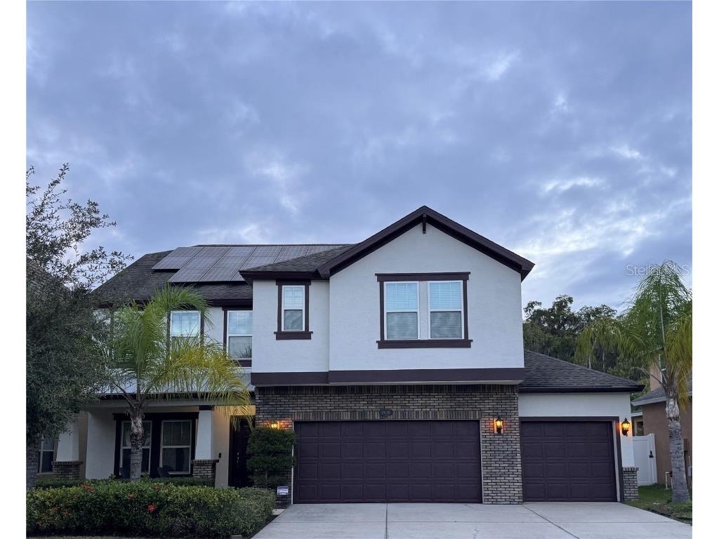 19240 Pepper Grass Drive Tampa FL 33647 S5093540 image1