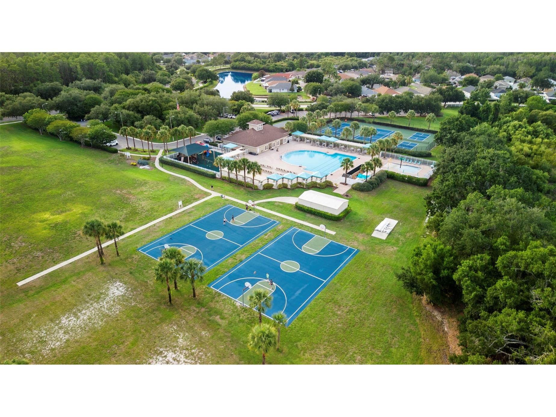 19245 Barred Owl Court Land O Lakes FL 34638 TB8513623 image53