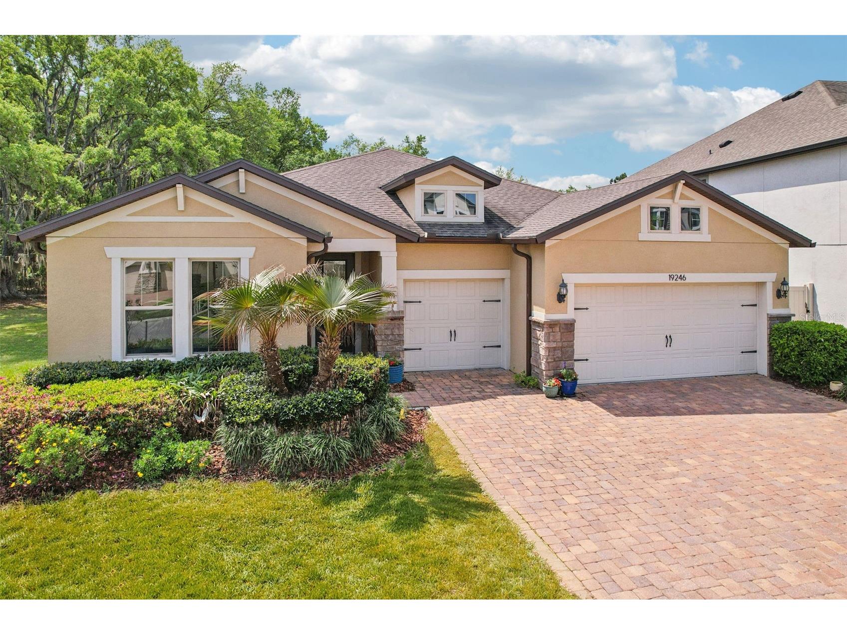19246 Briarbrook Drive Tampa FL 33647 TB8488934 image1