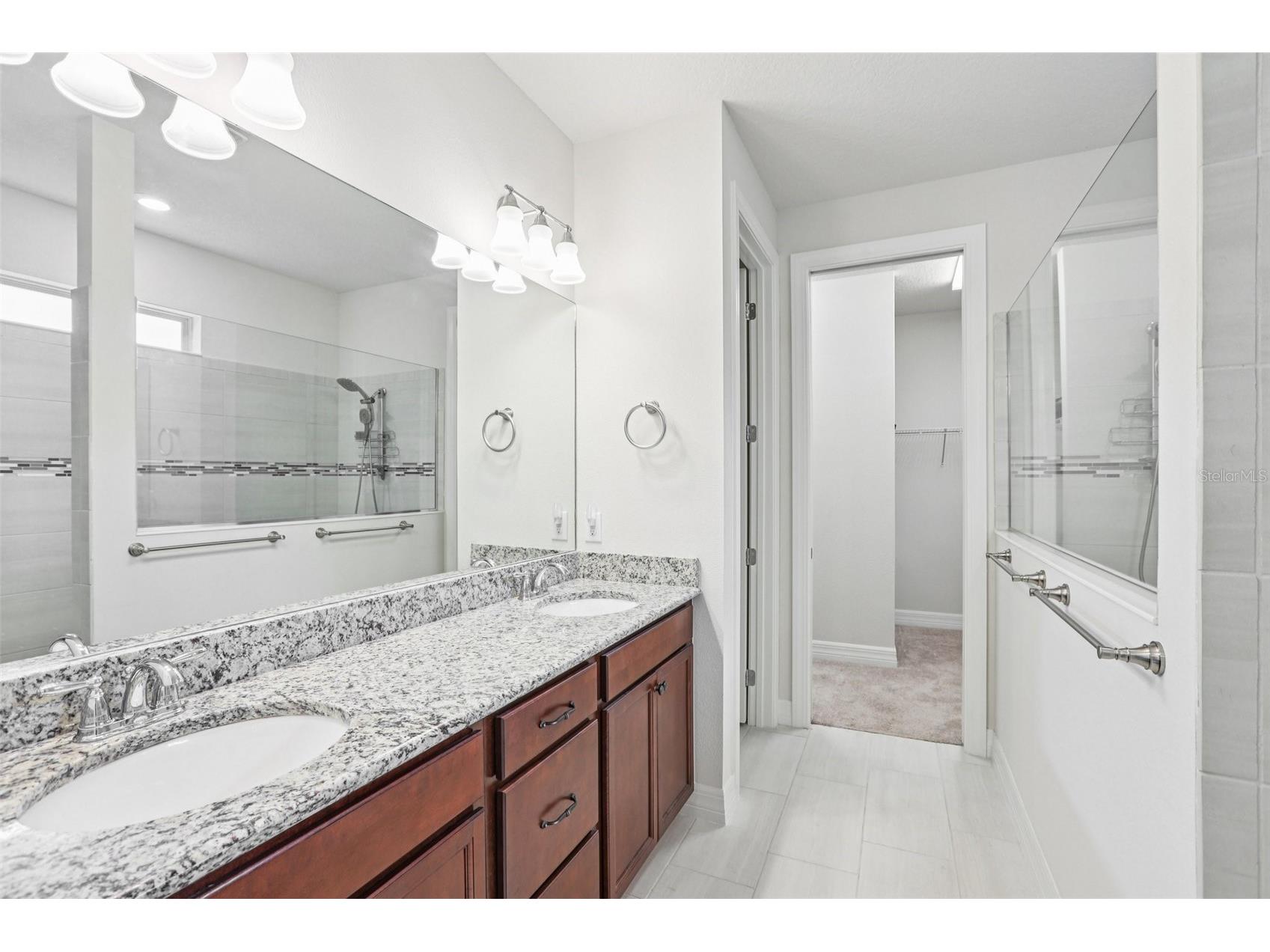 19246 Briarbrook Drive Tampa FL 33647 TB8488934 image16