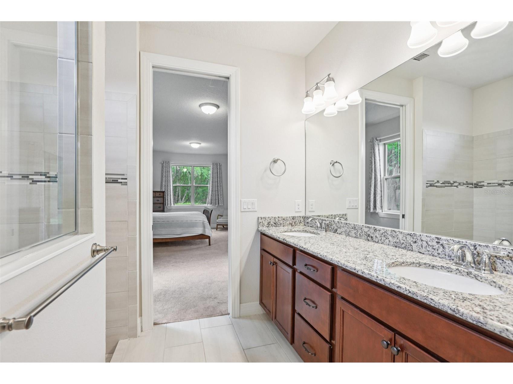 19246 Briarbrook Drive Tampa FL 33647 TB8488934 image18