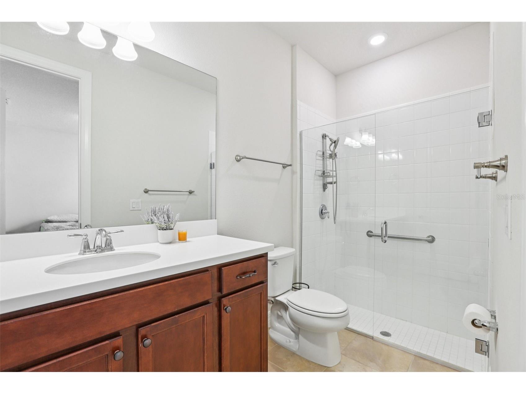 19246 Briarbrook Drive Tampa FL 33647 TB8488934 image21