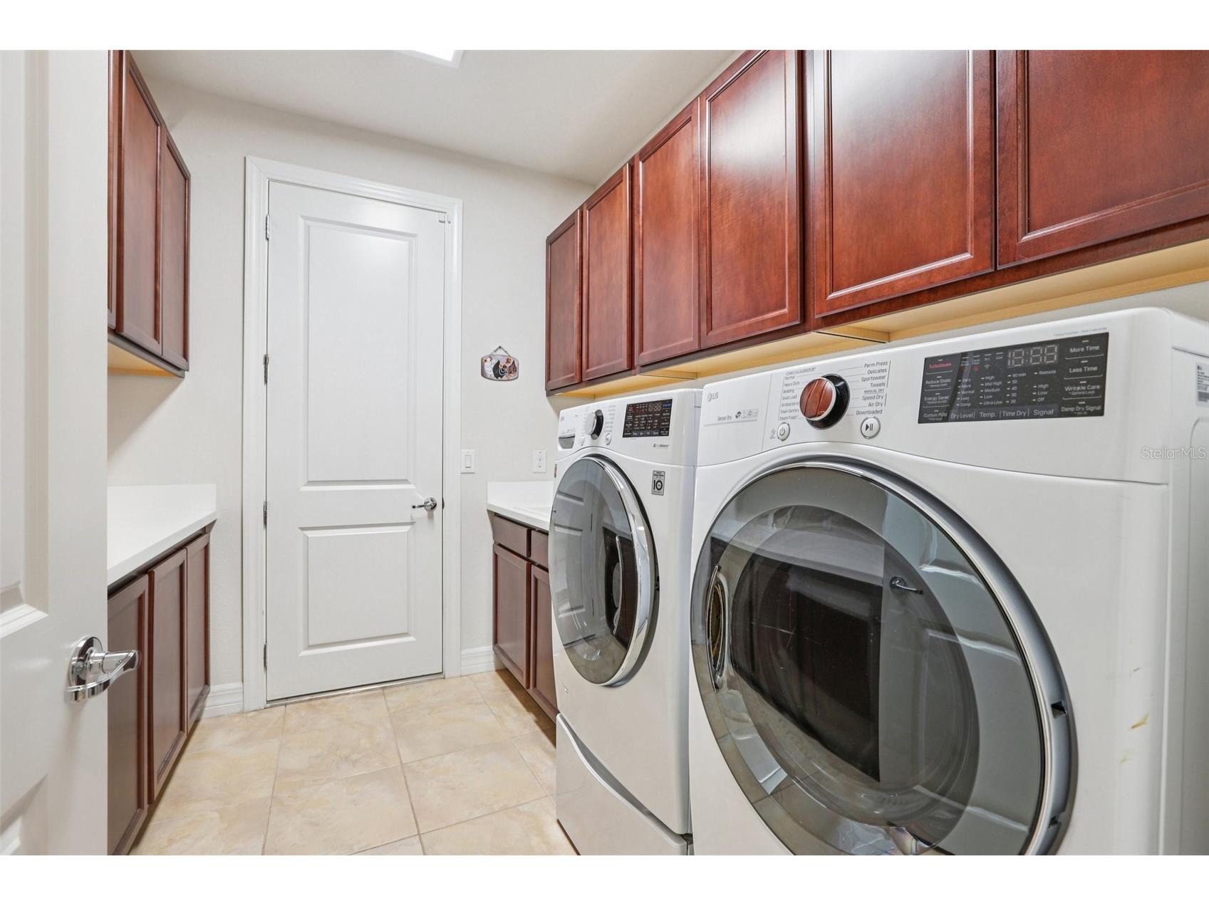 19246 Briarbrook Drive Tampa FL 33647 TB8488934 image27