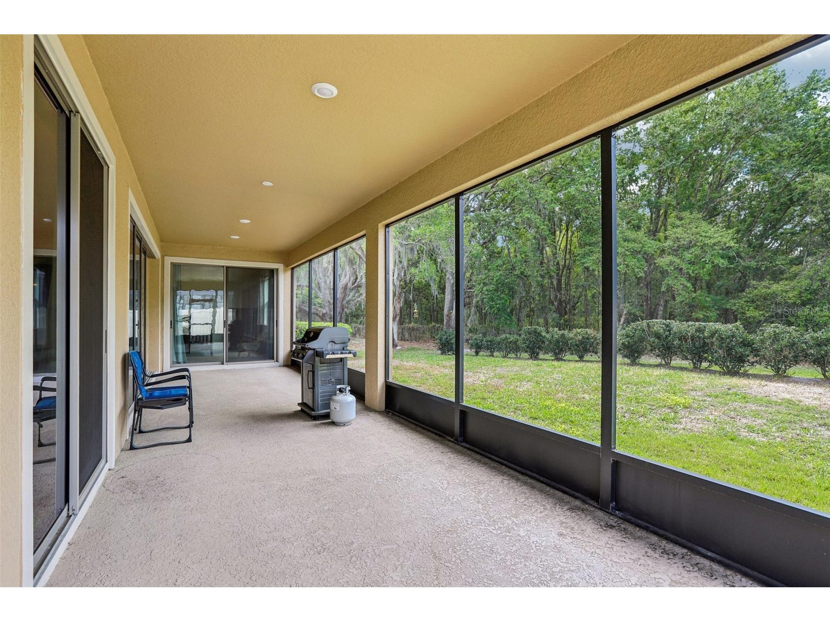 19246 Briarbrook Drive Tampa FL 33647 TB8488934 image29