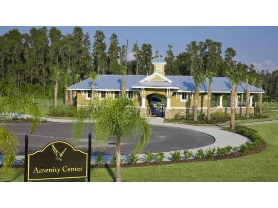 19246 Briarbrook Drive Tampa FL 33647 TB8488934 image33