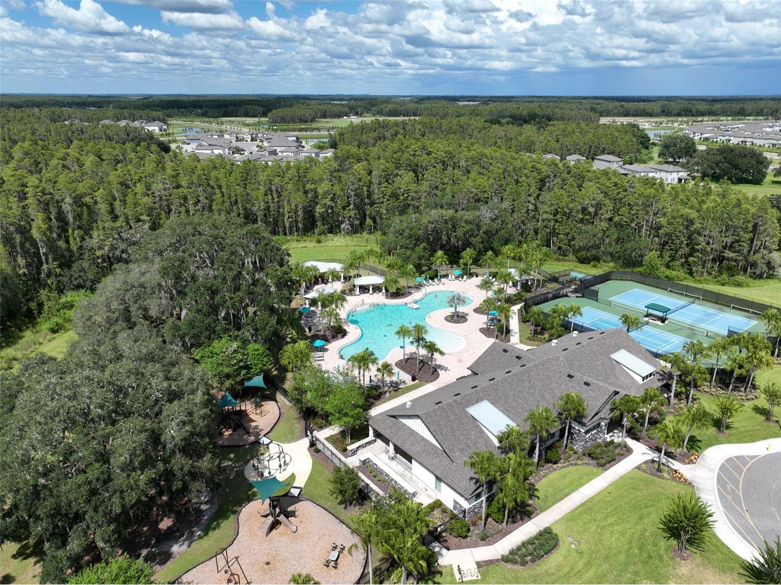 19246 Briarbrook Drive Tampa FL 33647 TB8488934 image34