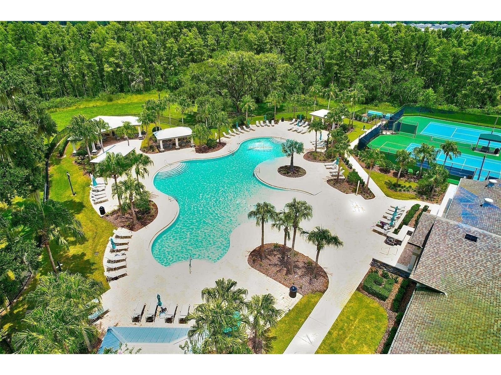 19246 Briarbrook Drive Tampa FL 33647 TB8488934 image35
