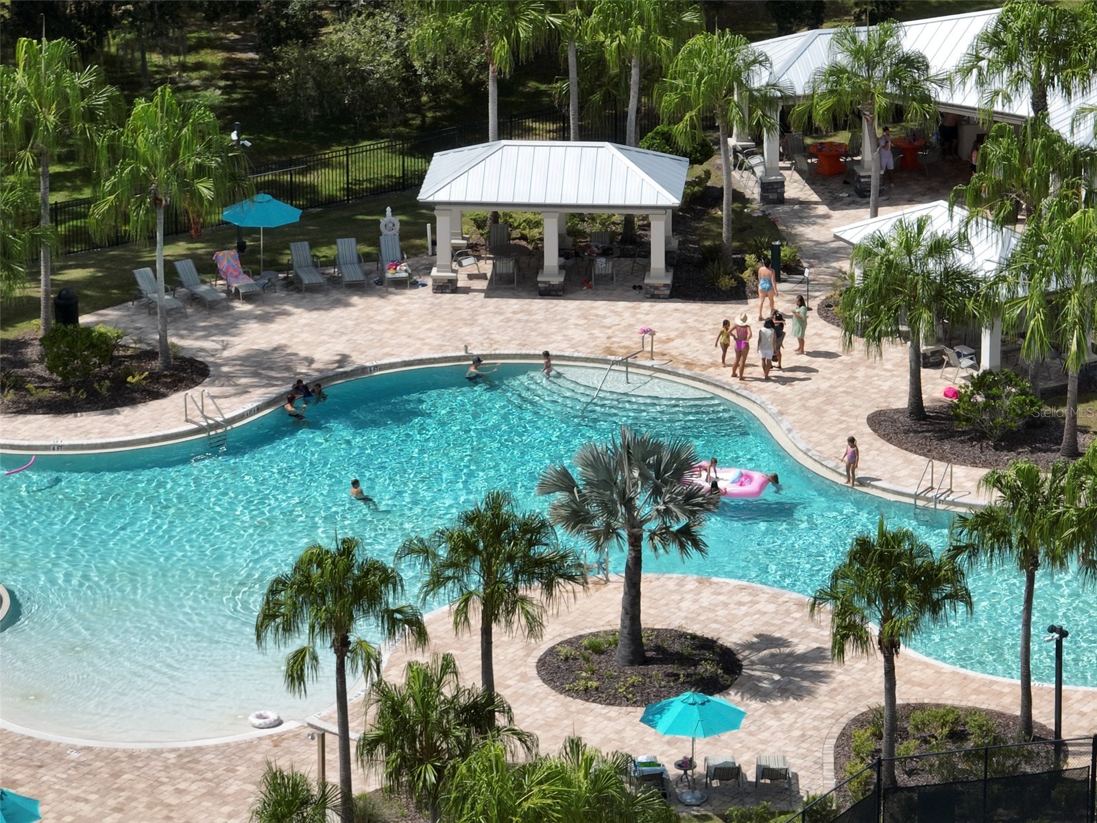 19246 Briarbrook Drive Tampa FL 33647 TB8488934 image36