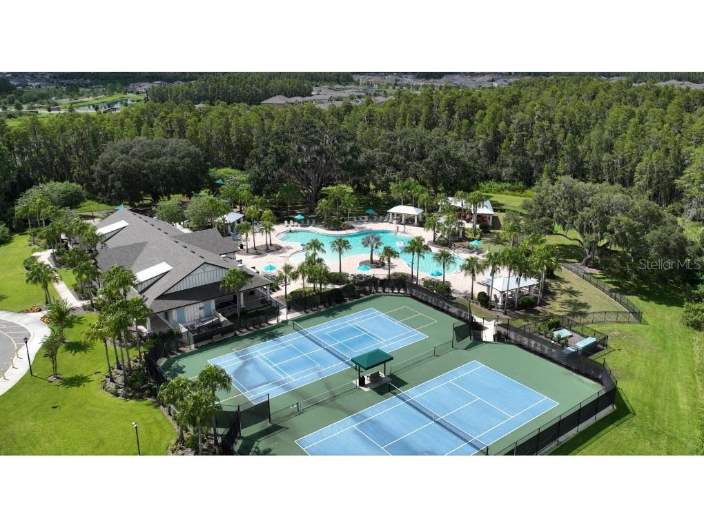 19246 Briarbrook Drive Tampa FL 33647 TB8488934 image37