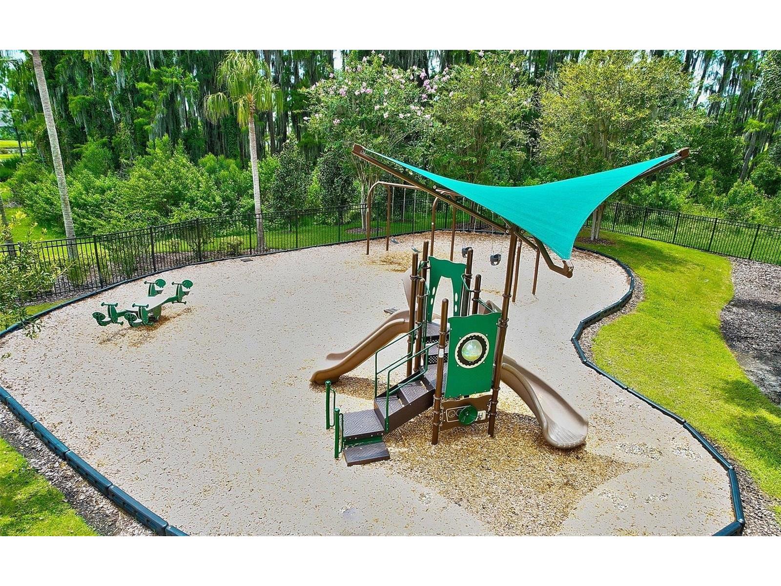 19246 Briarbrook Drive Tampa FL 33647 TB8488934 image38
