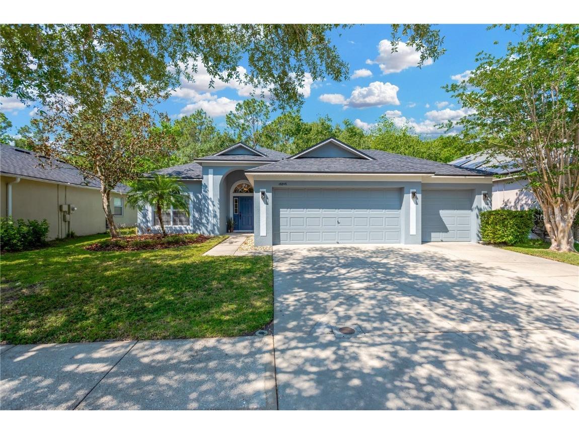 19246 Meadow Pine Drive Tampa FL 33647 TB8379162 image1