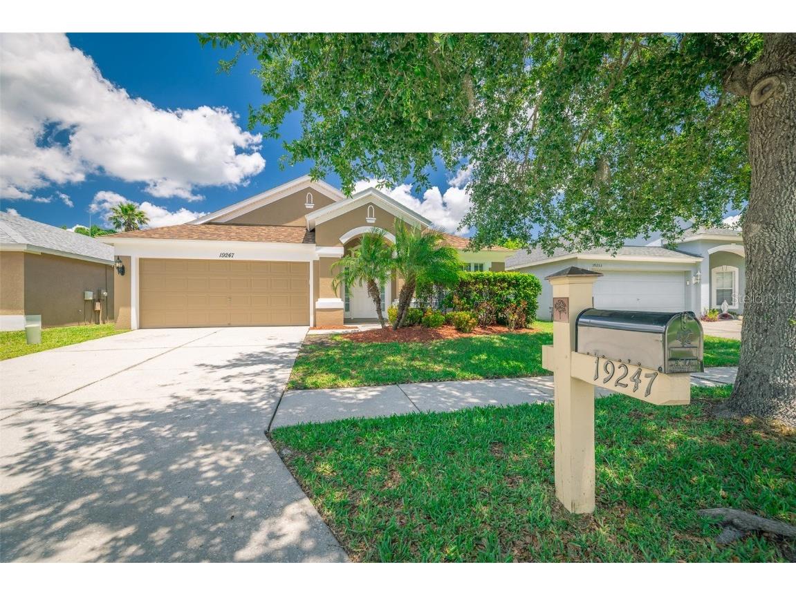 19247 Otters Wick Way Land O Lakes FL 34638 TB8385733 image1