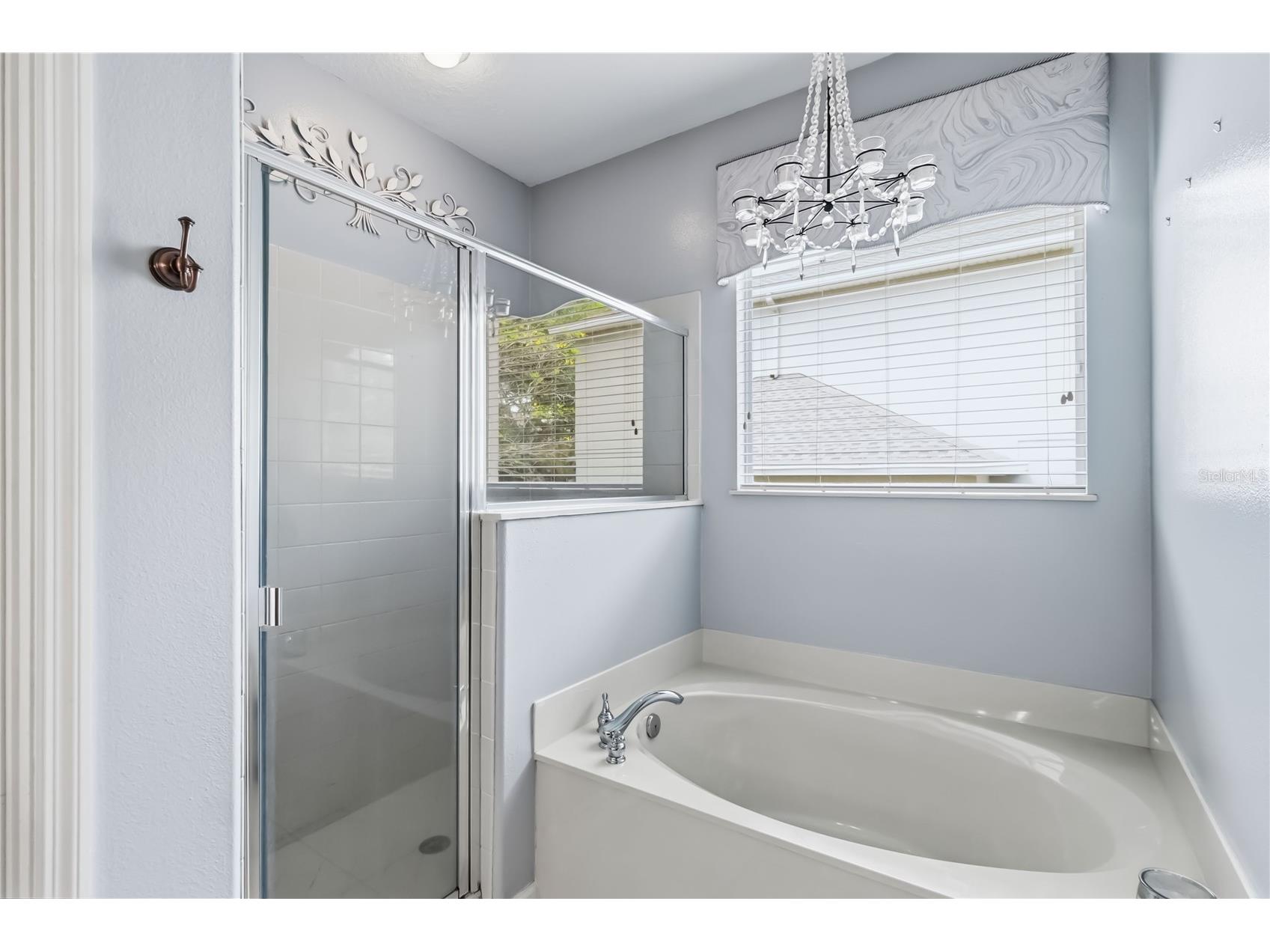 1925 Breezy Hill Drive Windermere Florida 34786 Windermere FL 34786 O6398784 image17