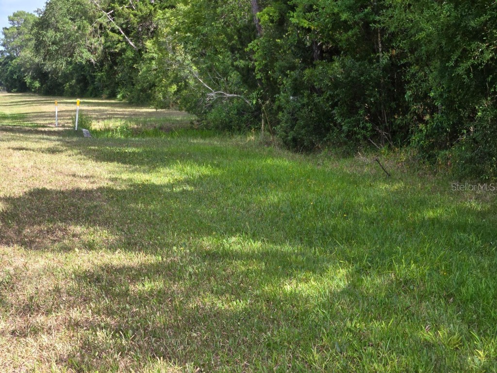 1925 Cr-13 Bunnell FL 32110 FC301725 image5