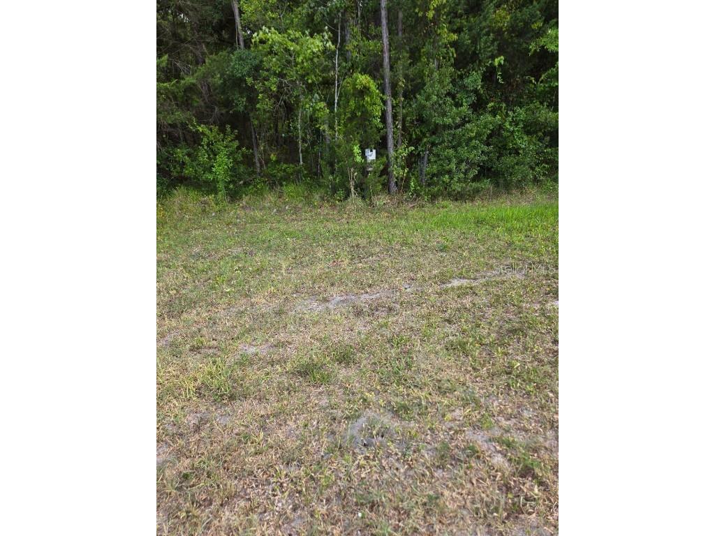 1925 Cr-13 Bunnell FL 32110 FC301725 image6