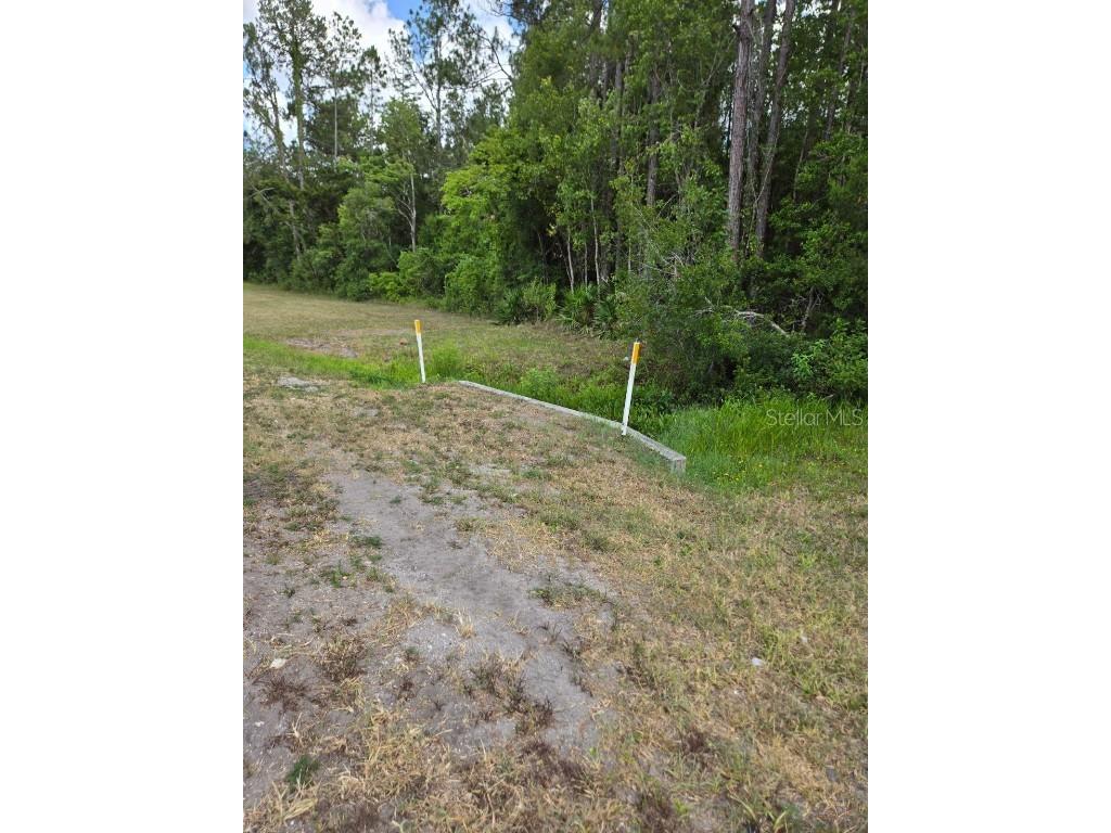 1925 Cr-13 Bunnell FL 32110 FC301725 image7