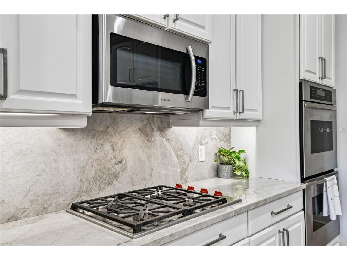 1925 Floresta View Drive Tampa FL 33618 TB8430755 image14