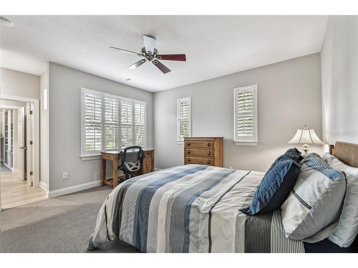 1925 Floresta View Drive Tampa FL 33618 TB8430755 image38