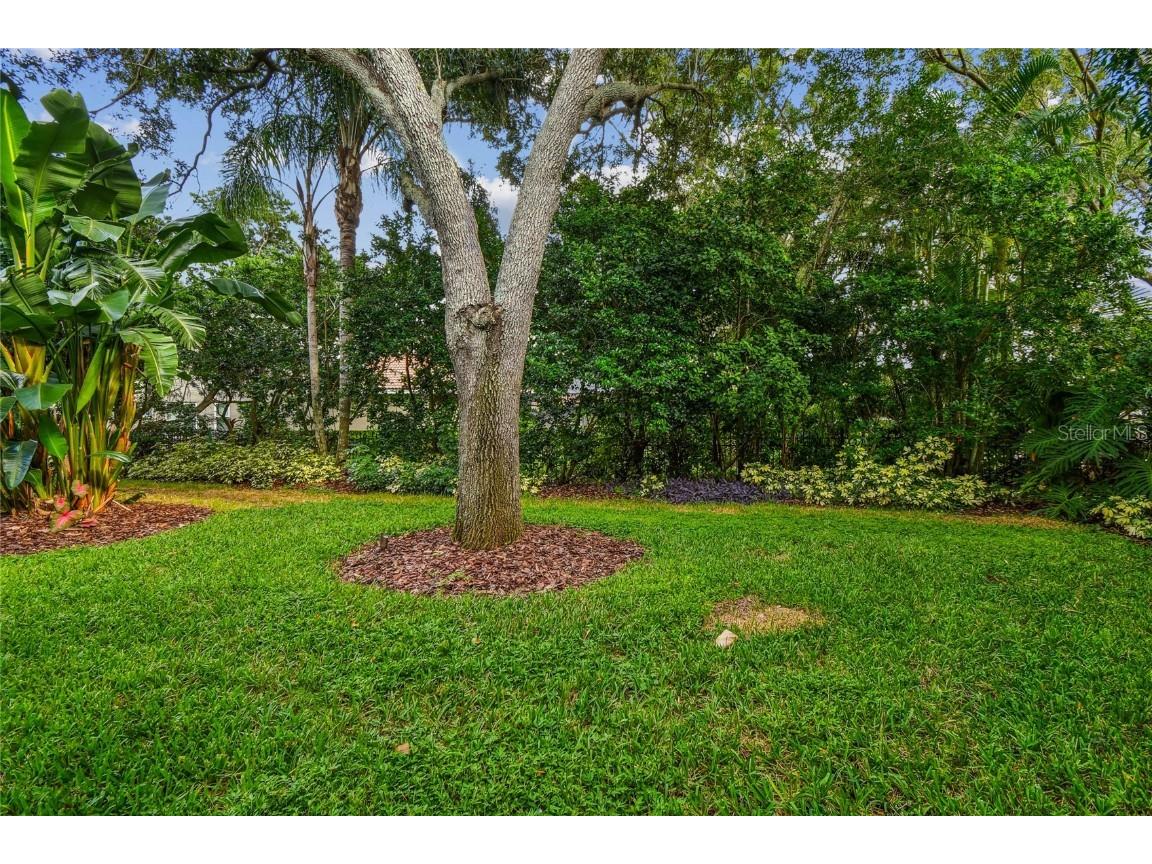 1925 Floresta View Drive Tampa FL 33618 TB8430755 image56