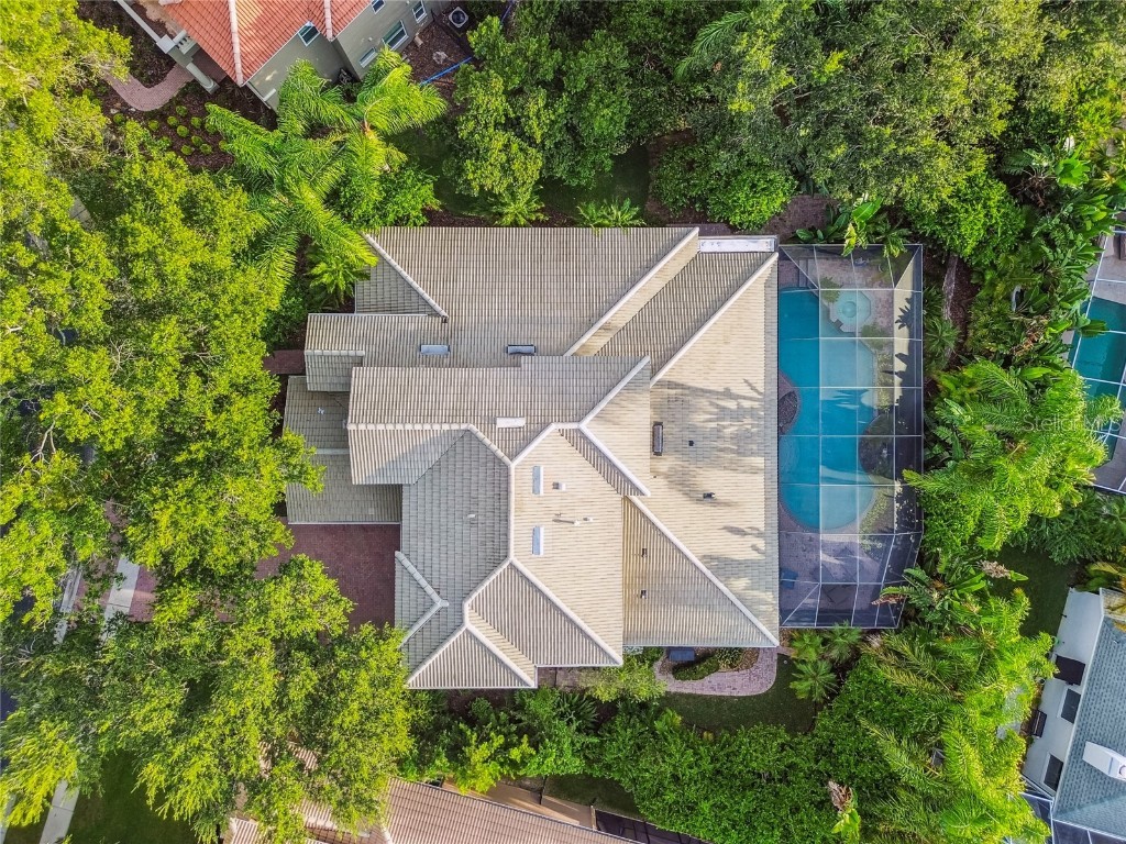 1925 Floresta View Drive Tampa FL 33618 TB8430755 image58