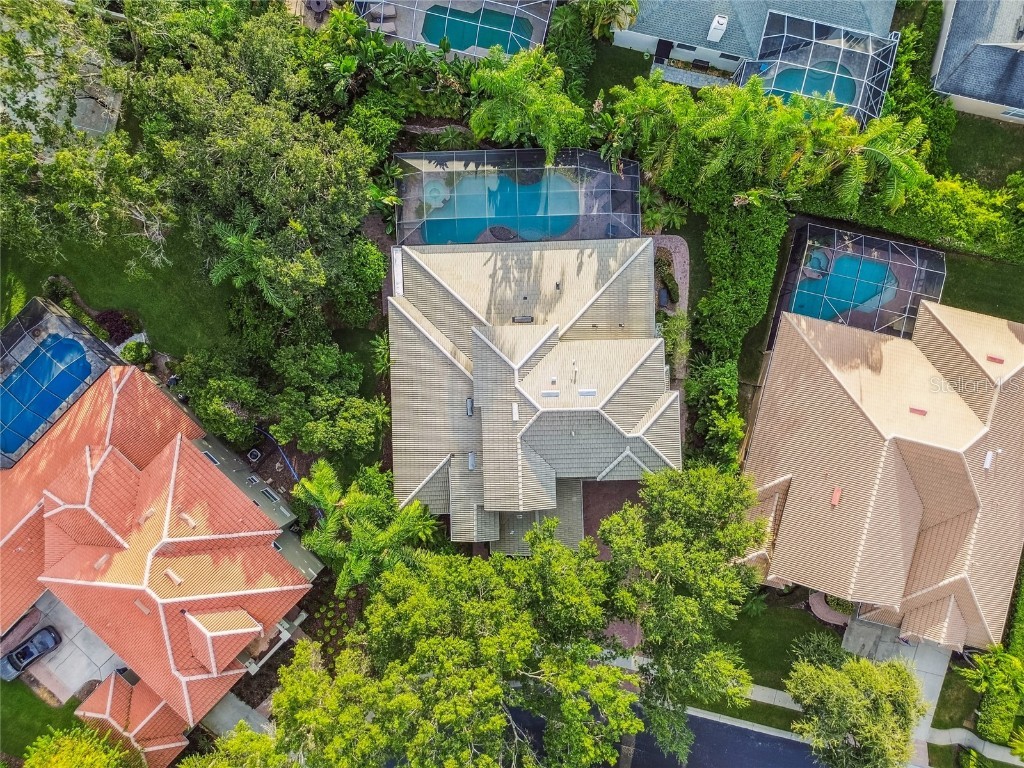 1925 Floresta View Drive Tampa FL 33618 TB8430755 image59