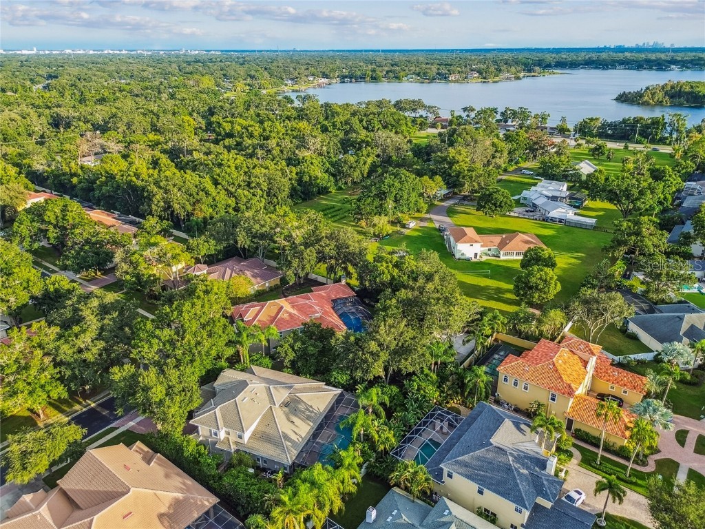 1925 Floresta View Drive Tampa FL 33618 TB8430755 image60