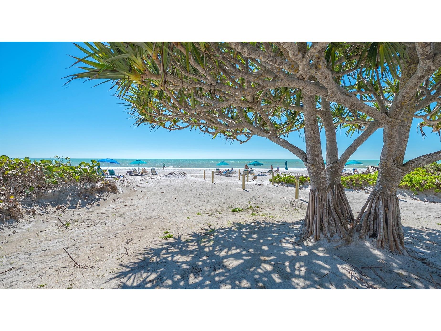 1925 Gulf Of Mexico Drive #G8-302 Longboat Key FL 34228 - GULF OF MEXICO A4686871 image49