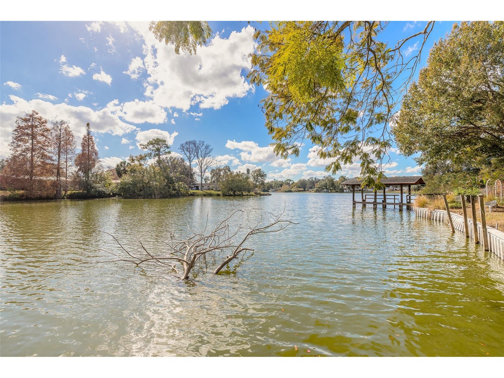 1925 John Arthur Way Lakeland FL 33803 - LAKE BENTLEY V4946657 image42