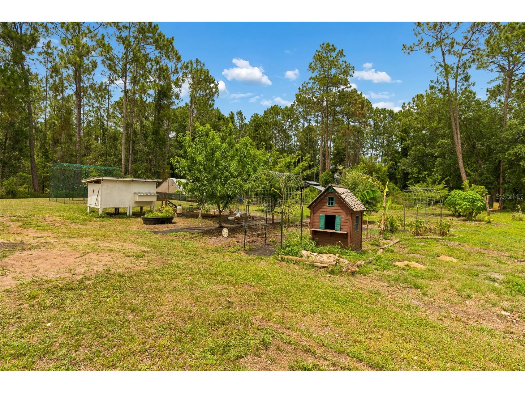 1925 Mustang Court Saint Cloud FL 34771 O6407176 image47