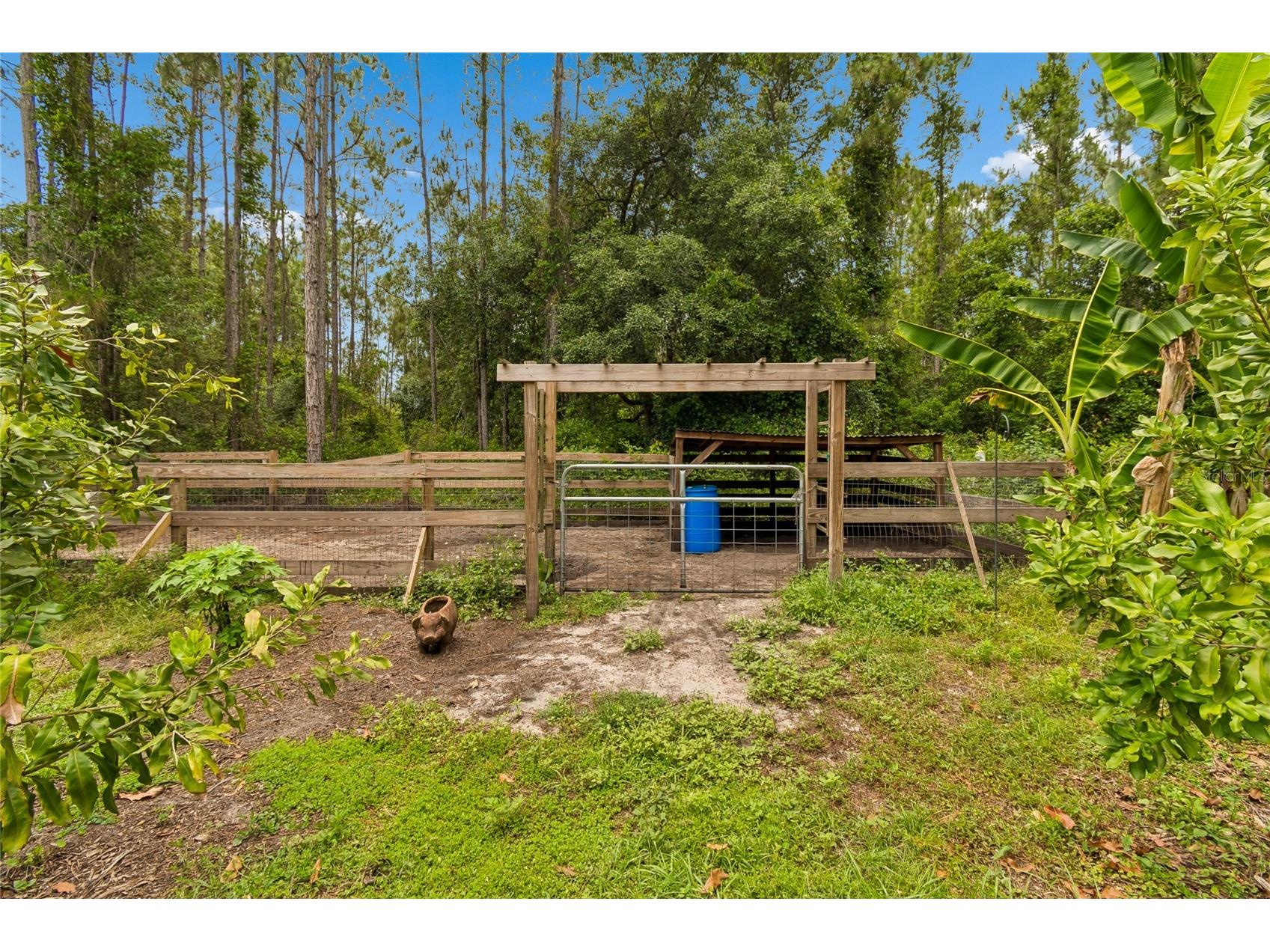 1925 Mustang Court Saint Cloud FL 34771 O6407176 image59