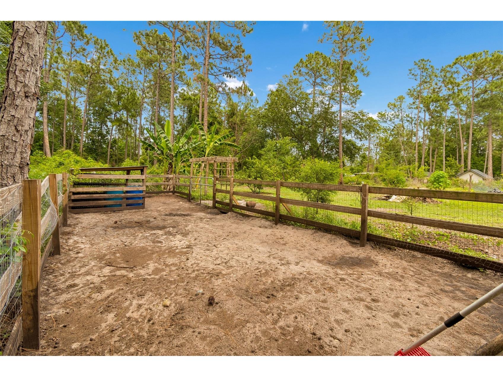 1925 Mustang Court Saint Cloud FL 34771 O6407176 image60