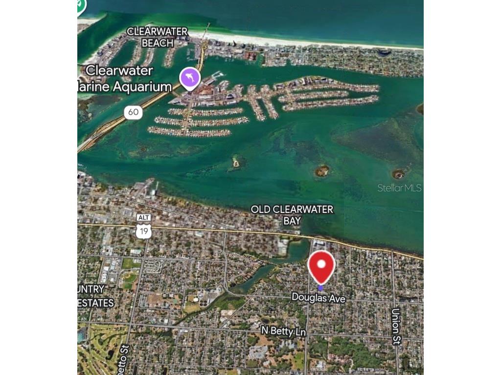 1925 Overbrook Avenue Clearwater FL 33755 TB8407220 image33