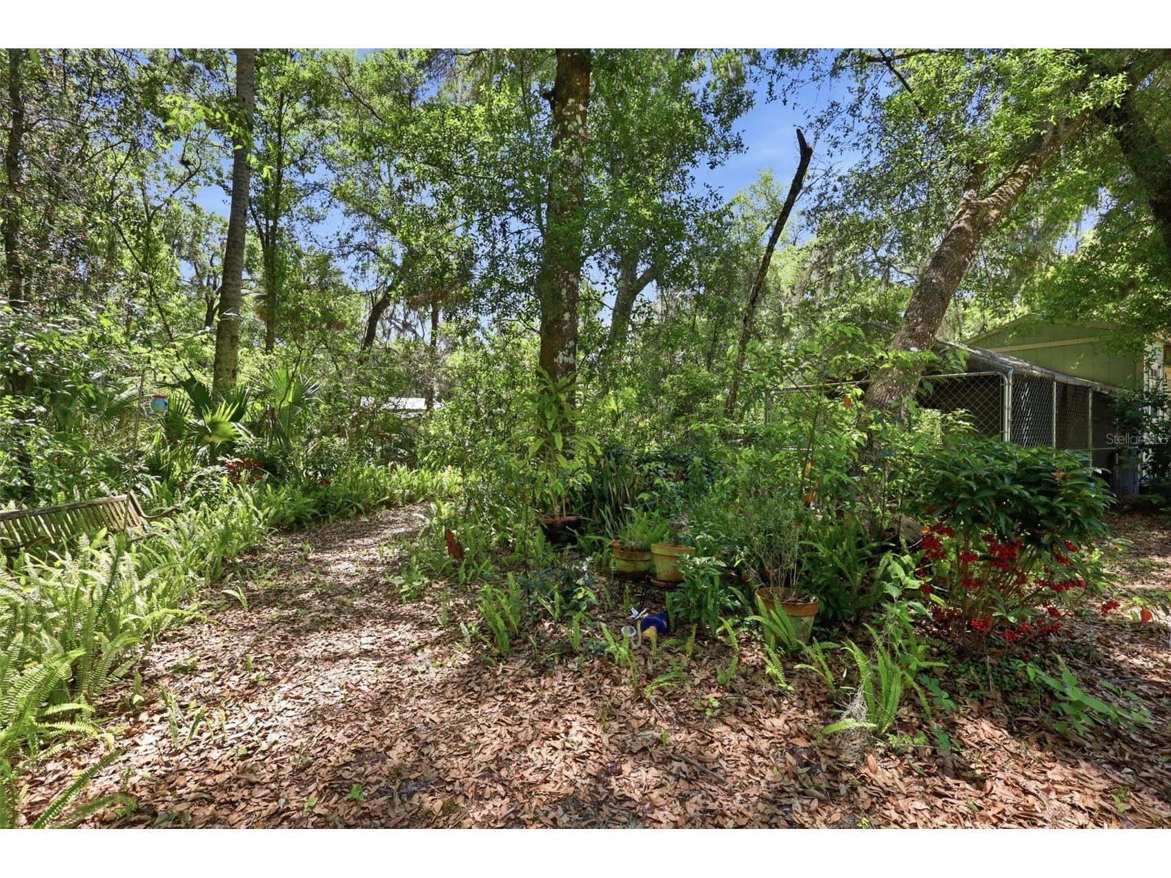 1925 Pine Court Deland FL 32720 V4948470 image65