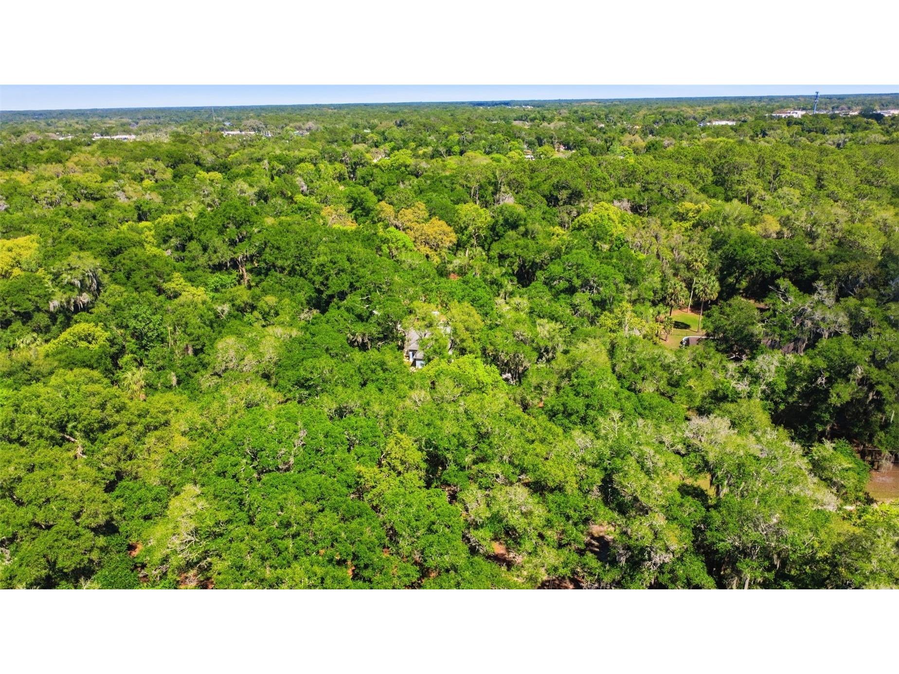1925 Pine Court Deland FL 32720 V4948470 image70