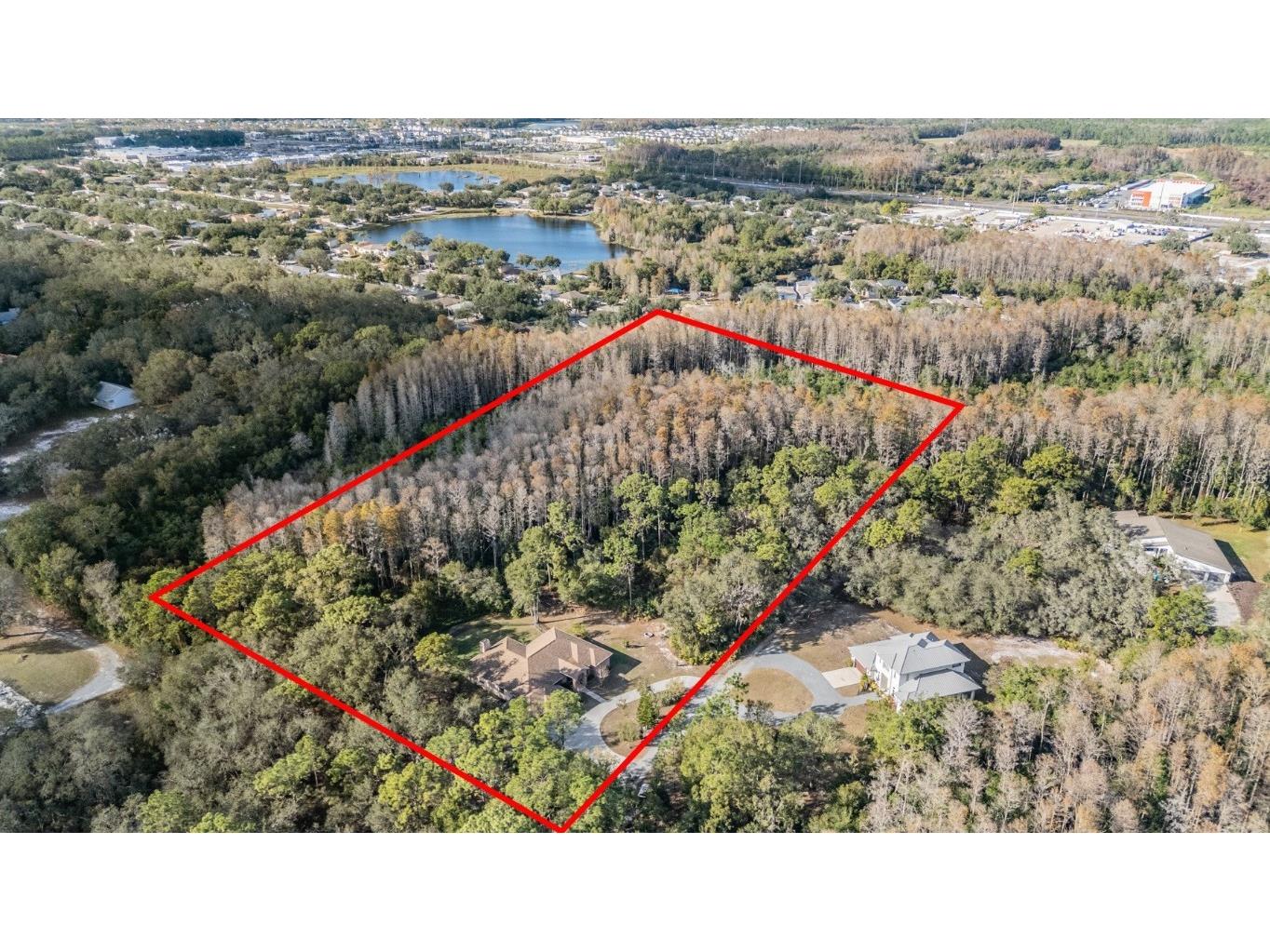 1925 Schaer Way Odessa FL 33556 TB8456584 image2