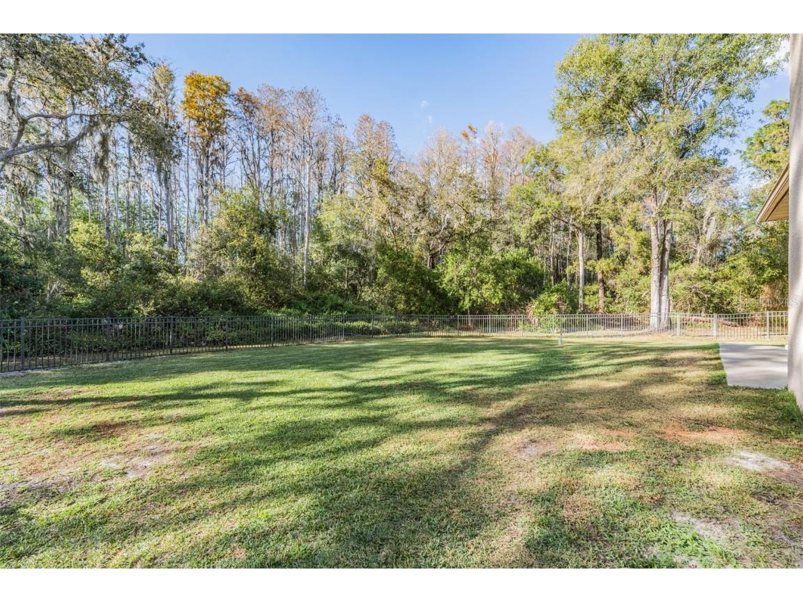 1925 Schaer Way Odessa FL 33556 TB8456584 image40